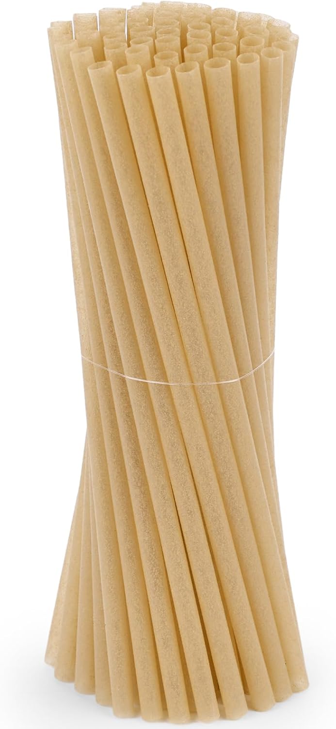 HANSGO Sugarcane Straws, 200PCS Drink Straws Disposable for Hot Cold Drinks, Coffee, Cocktail, Juice Home Favor, The Beach Party, Natural Brown