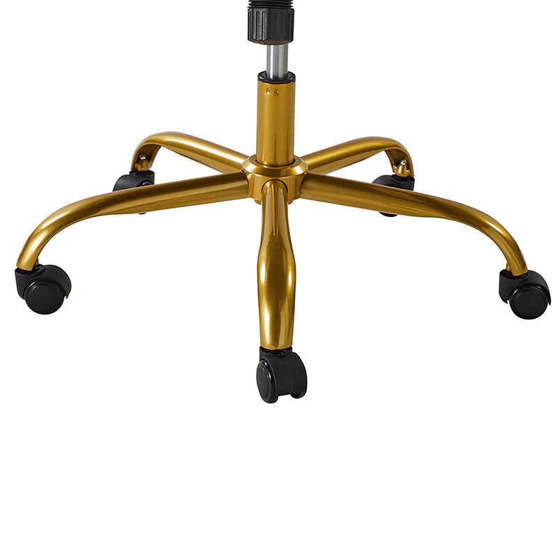 Ludwig Ergonomic Office Chair with Lumbar Support