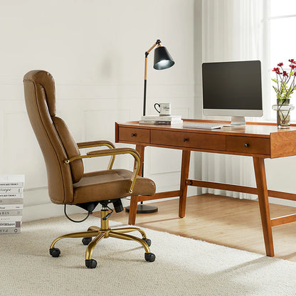 Ludwig Ergonomic Office Chair with Lumbar Support