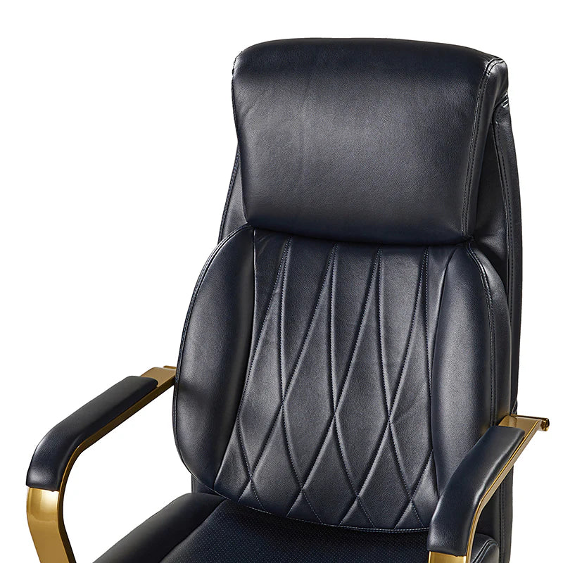 Ludwig Ergonomic Office Chair with Lumbar Support
