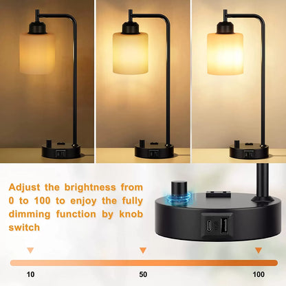 Industrial Bedside Table Lamp for Bedroom - Nightstand Lamps with USB C Charging Port, Fully Dimmable Black Lamps with USB Ports and Outlets, Small Desk Lamp with Glass Shade for Office Living Room