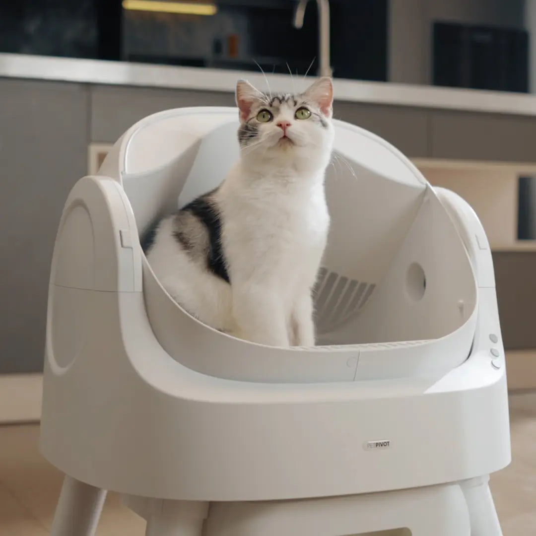 PetPivot AutoScooper 11 Self-Cleaning Cat Litter Box