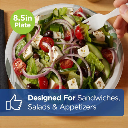 Dixie 8 1/2 Inch Medium-Weight Disposable Paper Plates, Pathways, 300 Count, Bulk Case, 6 Packs/50 Count Per Pack, (Georgia-Pacific #UX9P300)